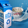 Milk - Dairy Products Supplier